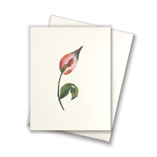 Peace Lily Greeting Card