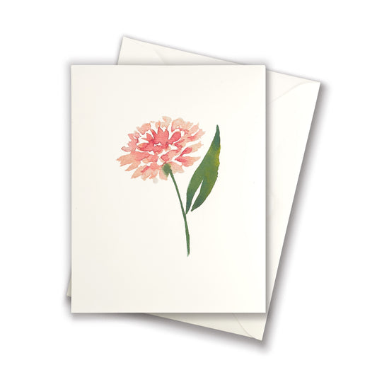 Pink Aster Greeting Card