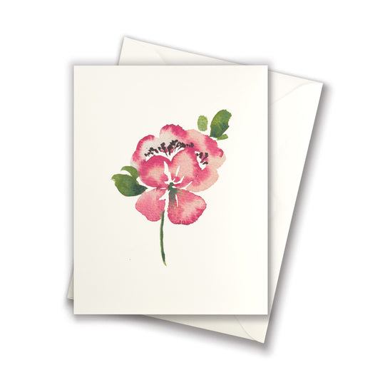 Pink and White Peony Greeting Card